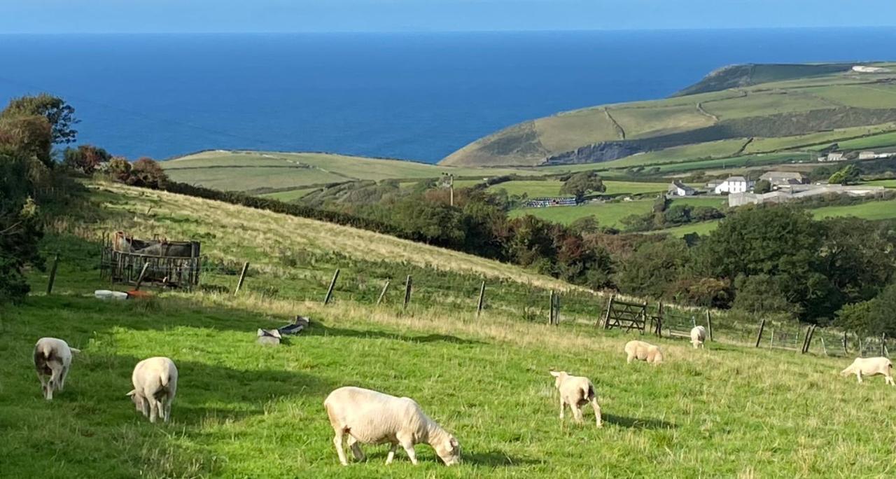 Polrunny Farm Sloe Cottage With A Sea View Boscastle Extérieur photo