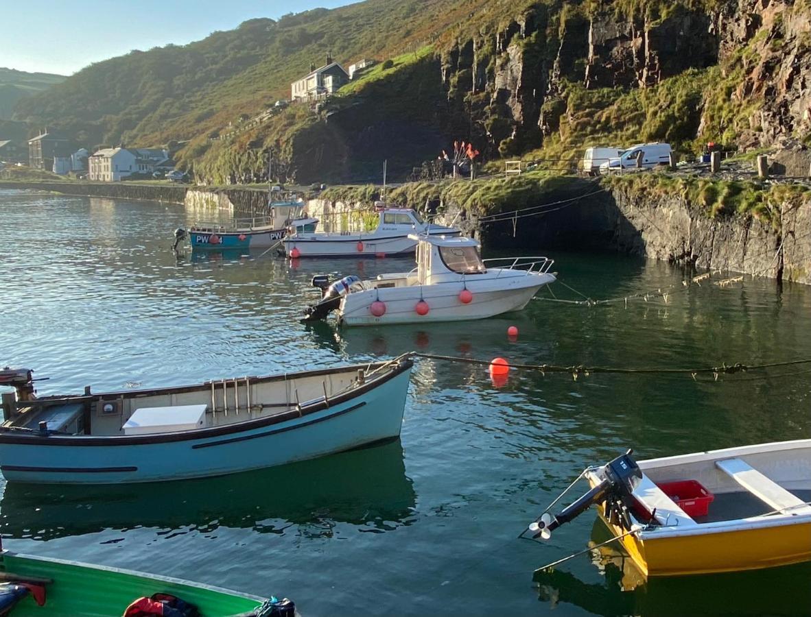 Polrunny Farm Sloe Cottage With A Sea View Boscastle Extérieur photo