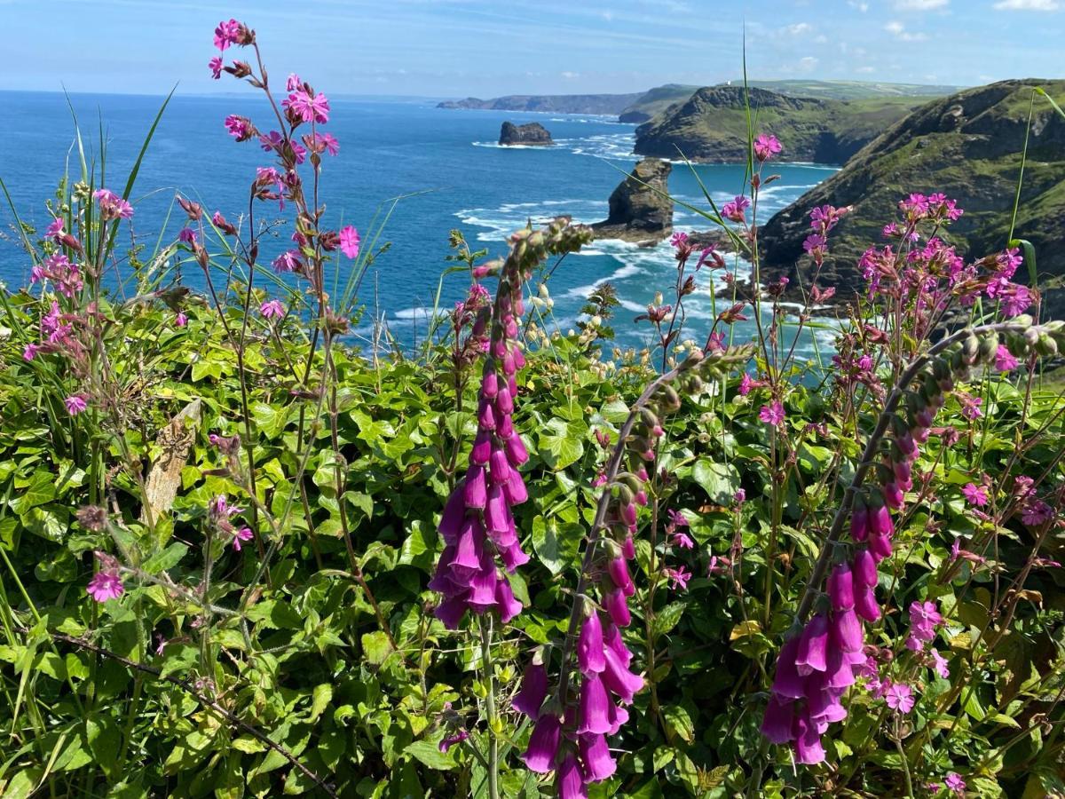 Polrunny Farm Sloe Cottage With A Sea View Boscastle Extérieur photo