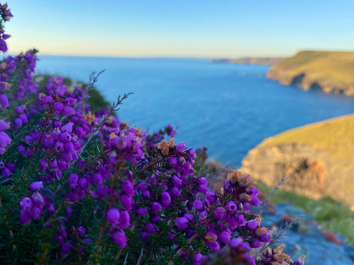 Polrunny Farm Sloe Cottage With A Sea View Boscastle Extérieur photo